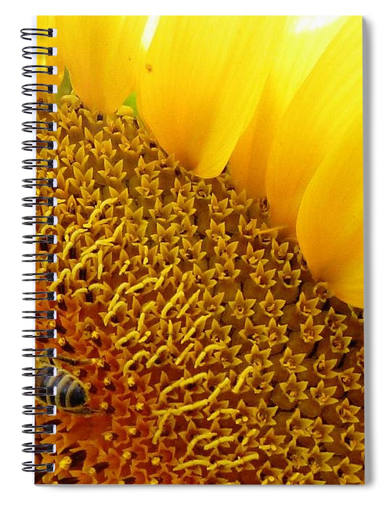 Bee Spiral Notebook featuring the photograph Bee Happy by Amalia Suruceanu
