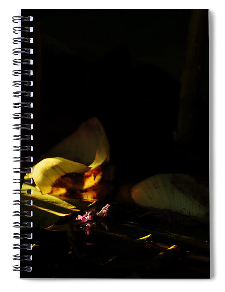 Impermanence Spiral Notebook featuring the photograph Before It Is Time To Go by Rebecca Sherman