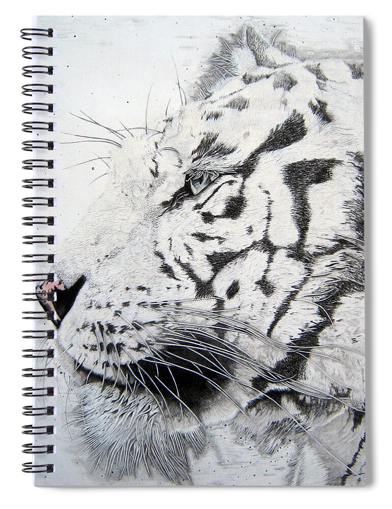  Tigers Paintings Spiral Notebook featuring the drawing Bengala by Mayhem Mediums