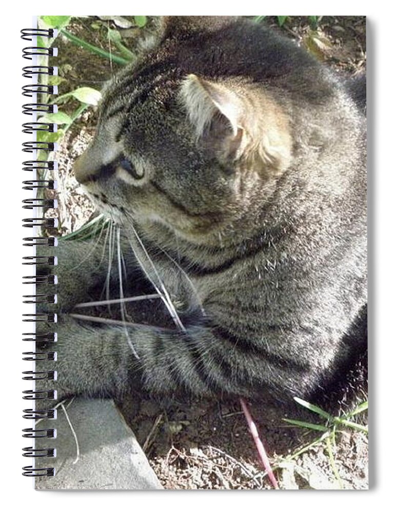 Cat Spiral Notebook featuring the photograph Big Foot by Kim Galluzzo