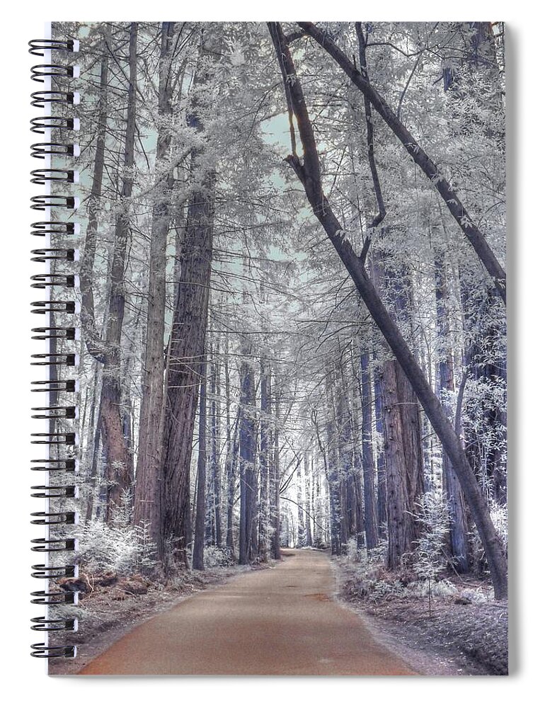 Big Sur Spiral Notebook featuring the photograph Big Sur State Park by Jane Linders