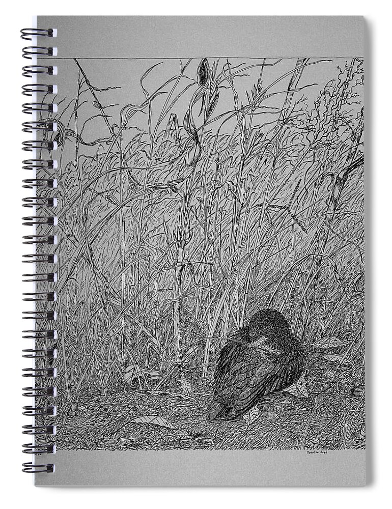Pin And Ink Spiral Notebook featuring the drawing Bird In Winter by Daniel Reed