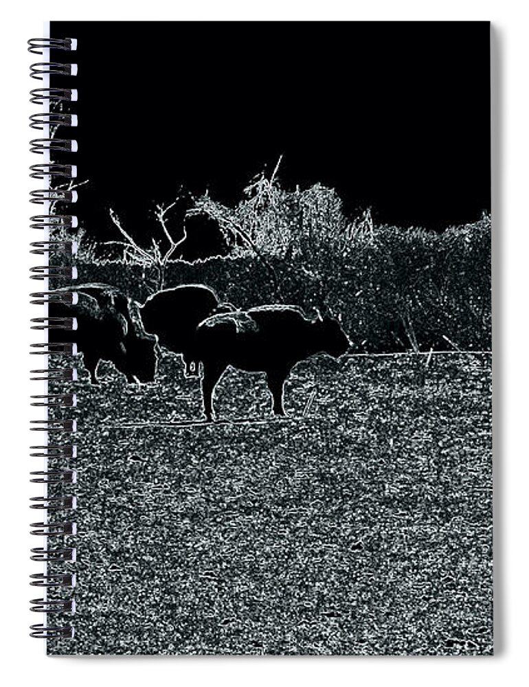Buffalo Spiral Notebook featuring the photograph Black and White Nature by Kim Galluzzo