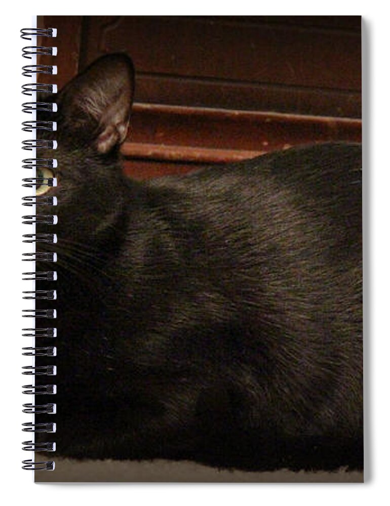 Black Cats Spiral Notebook featuring the photograph Black Satin by Kathy White