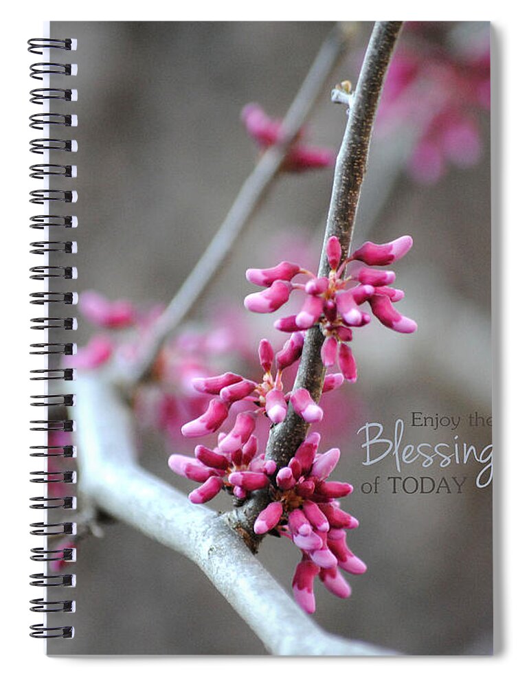 Blessing Spiral Notebook featuring the photograph Blessing by Jai Johnson