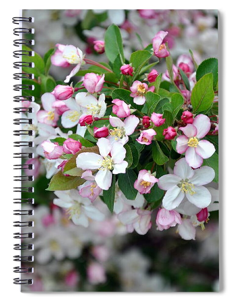 Blossoms Spiral Notebook featuring the photograph Blossoms on Blossoms by Dorrene BrownButterfield