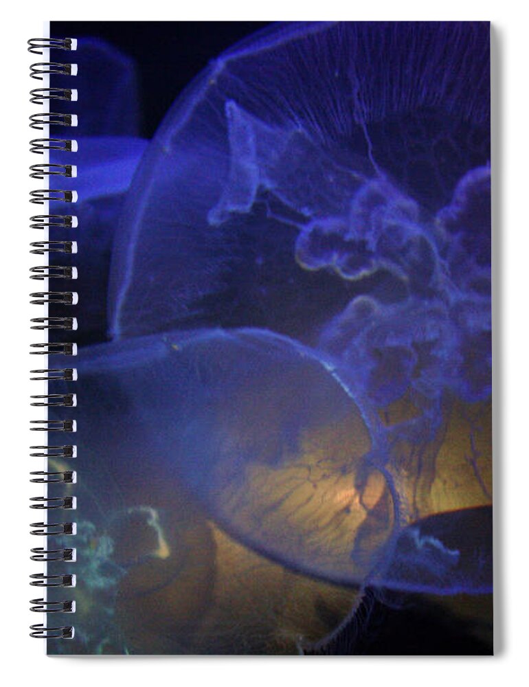 Jelly Fish Spiral Notebook featuring the photograph Blue Jelly Dream by Jennifer Bright Burr