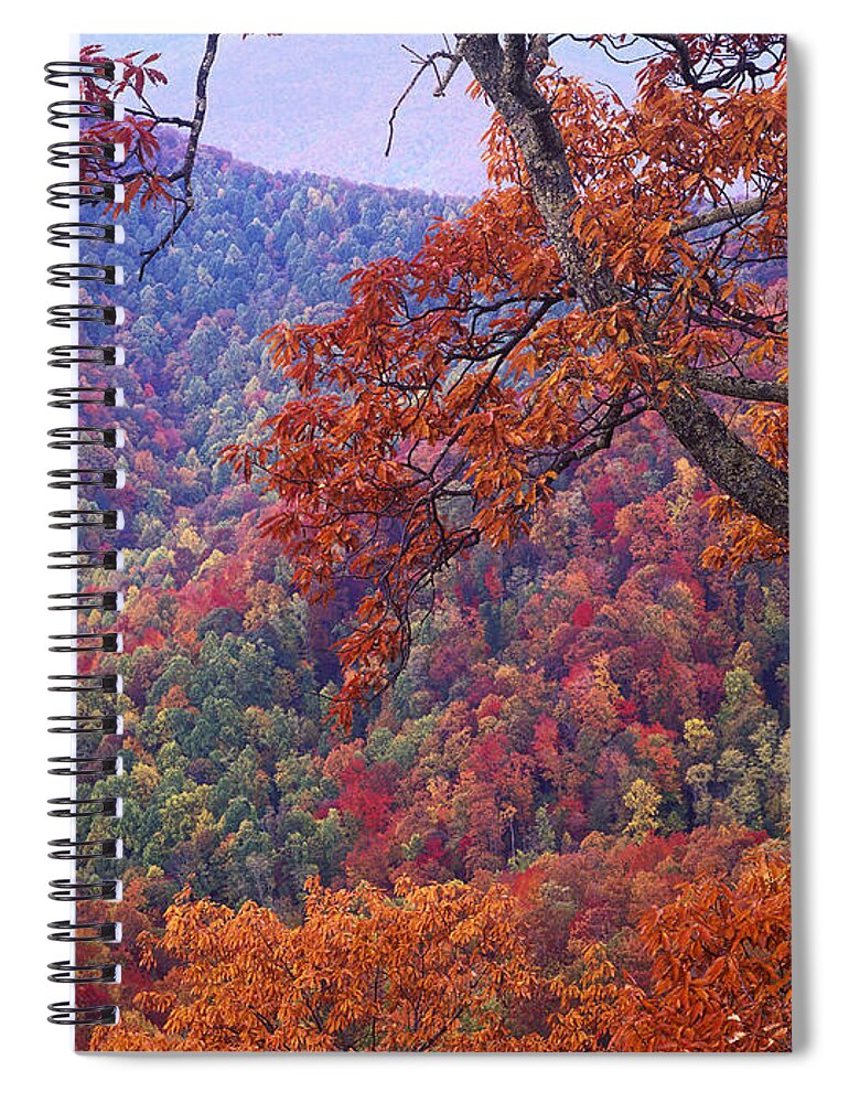 00176803 Spiral Notebook featuring the photograph Blue Ridge Range With Autumn Deciduous by Tim Fitzharris