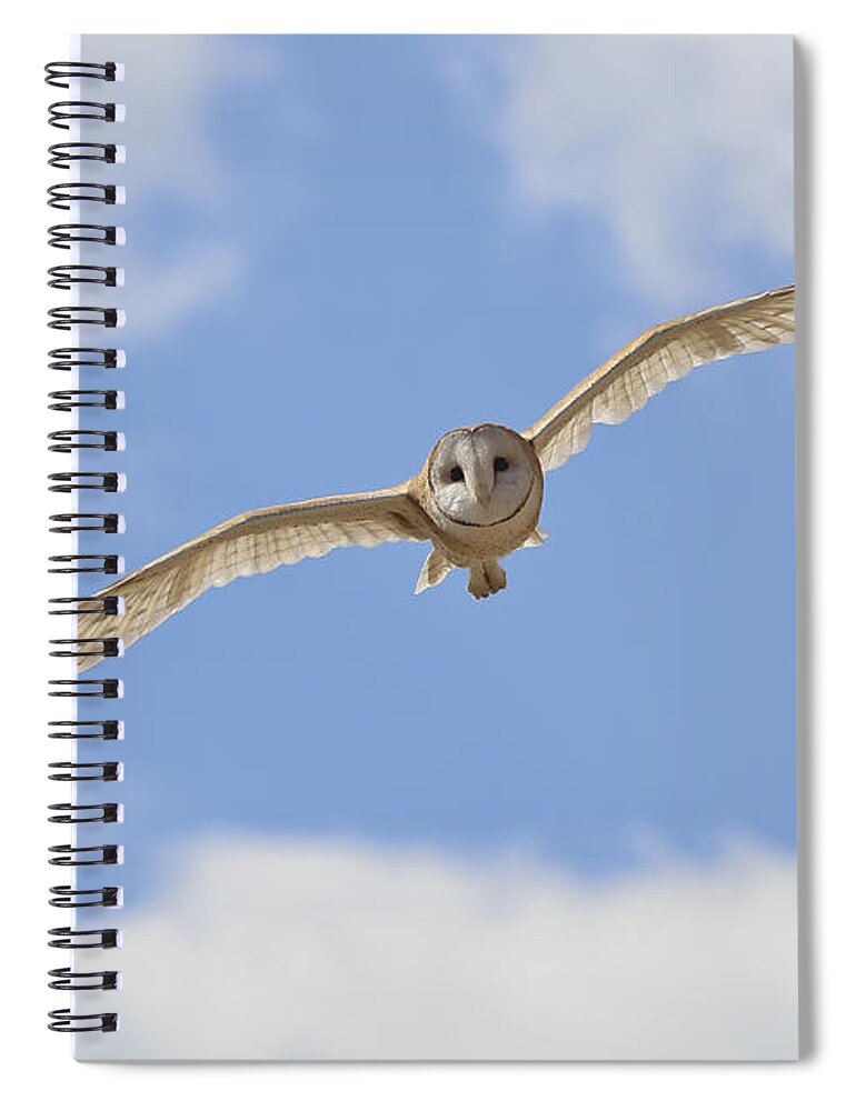 Landscape Spiral Notebook featuring the photograph Blue sky barn owl by John T Humphrey
