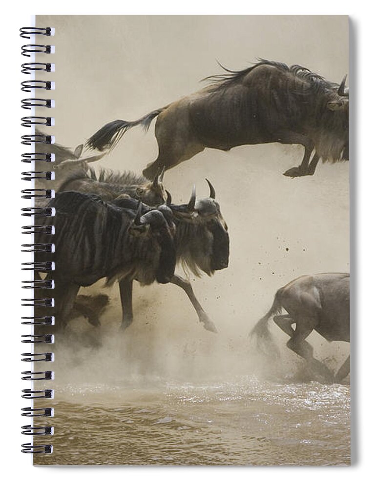 00761256 Spiral Notebook featuring the photograph Blue Wildebeest Crossing Mara River by Suzi Eszterhas