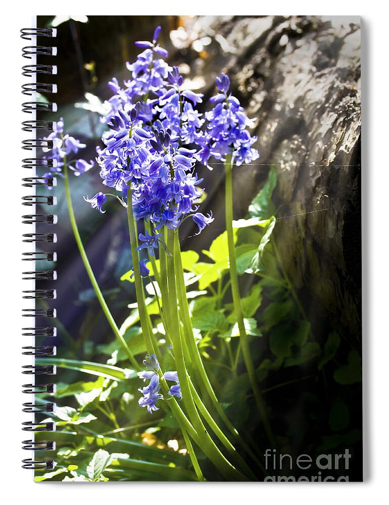 Wild Flowers Spiral Notebook featuring the photograph Bluebells in the woods by Simon Bratt