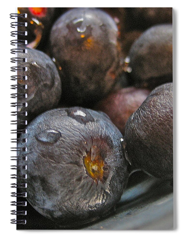 Fruit Spiral Notebook featuring the photograph Blueberries by Bill Owen