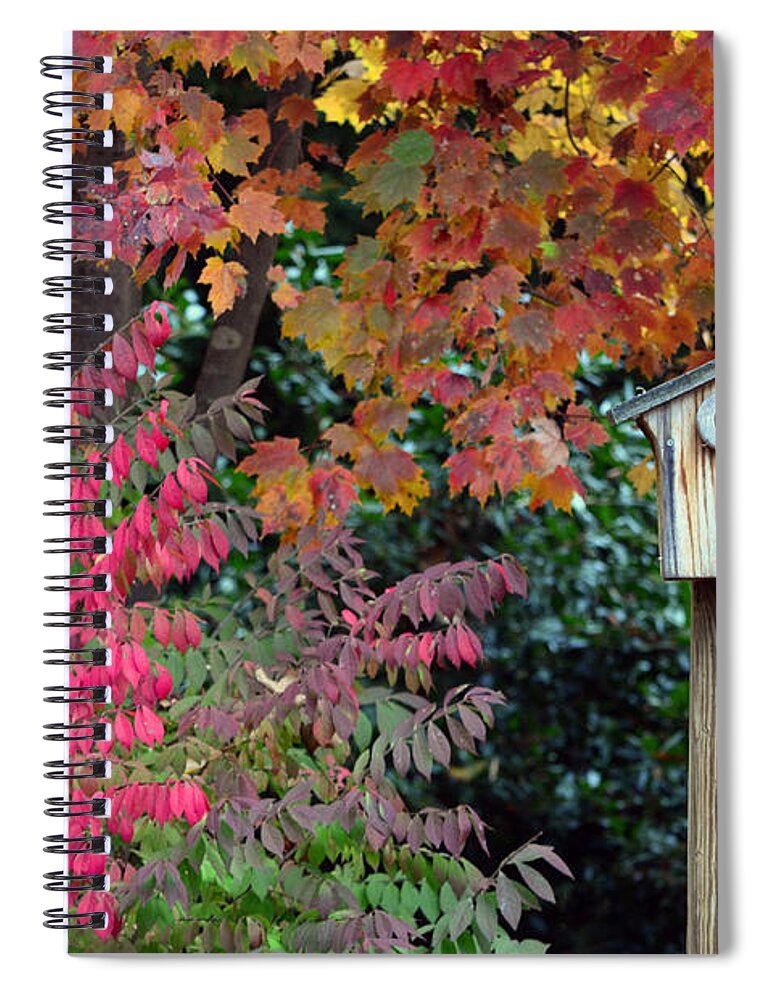 Fall Spiral Notebook featuring the photograph Bluebird House Color Surround by Sandi OReilly