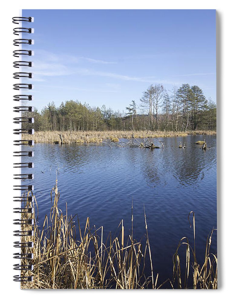 Bog Spiral Notebook featuring the photograph Bog landscape Schwenninger Moos by Matthias Hauser
