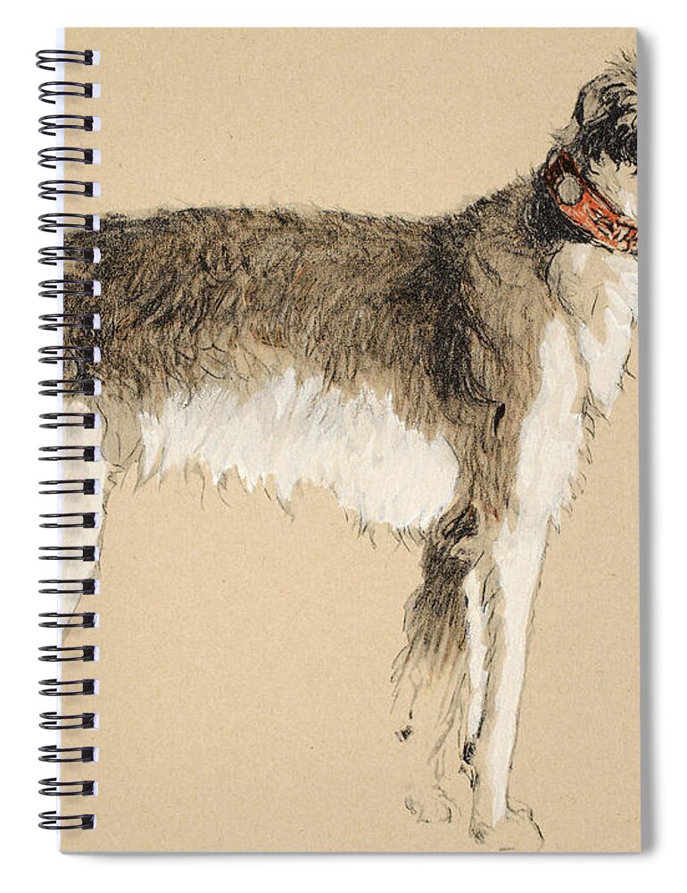 Dog; Dogs; Hound; Pet; Pets; Wolfhound Spiral Notebook featuring the painting Borzoi by Cecil Charles Windsor Aldin
