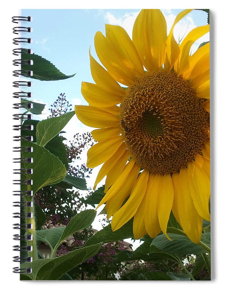 Sunflower Spiral Notebook featuring the photograph Bright Day by Yenni Harrison