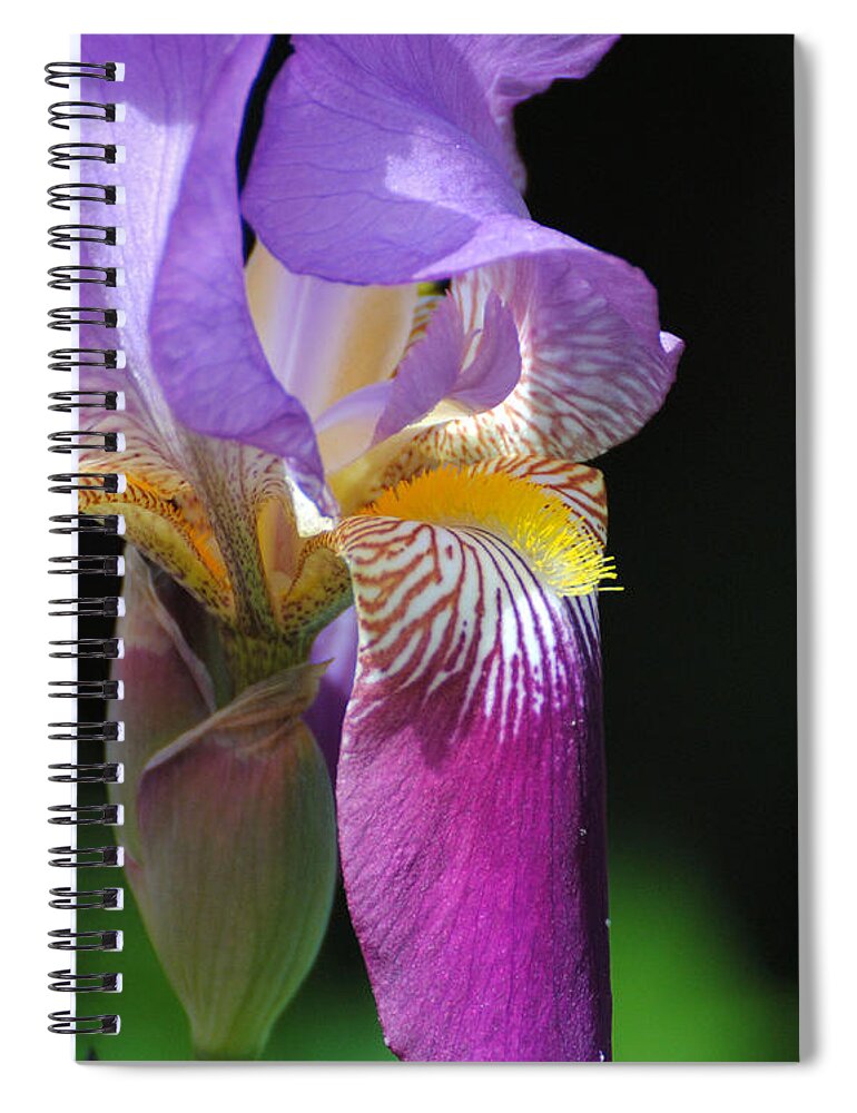 Beautiful Iris Spiral Notebook featuring the photograph Brilliant Purple Iris Flower II by Jai Johnson