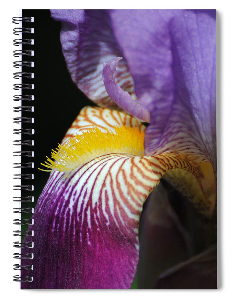 Beautiful Iris Spiral Notebook featuring the photograph Brilliant Purple Iris Flower III by Jai Johnson