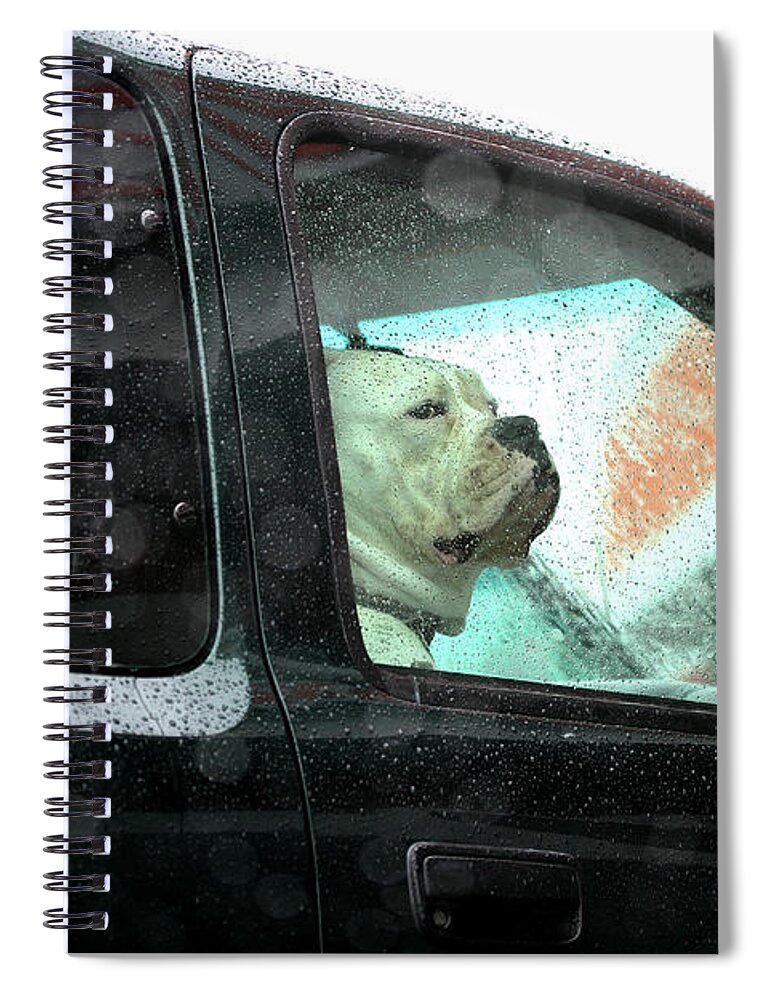 Dog Spiral Notebook featuring the photograph Bummed by Marie Jamieson