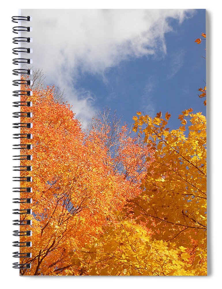 Leaves Spiral Notebook featuring the photograph Bursts Of Fall by Kim Galluzzo