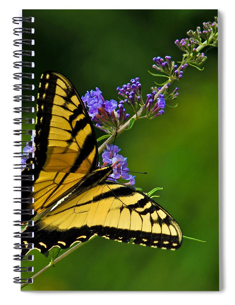Flowers Spiral Notebook featuring the photograph Butterfly by Ed Peterson