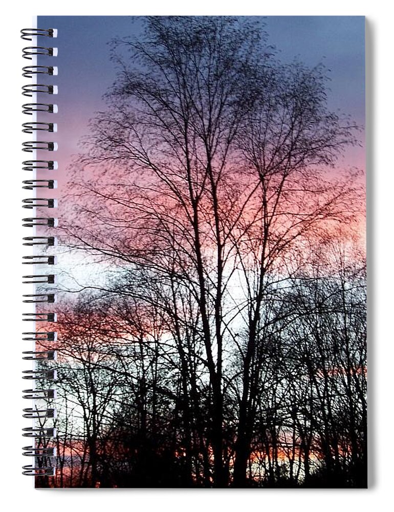 Butterfly Spiral Notebook featuring the photograph Butterfly Wings Of Pink In The Sky by Kim Galluzzo Wozniak