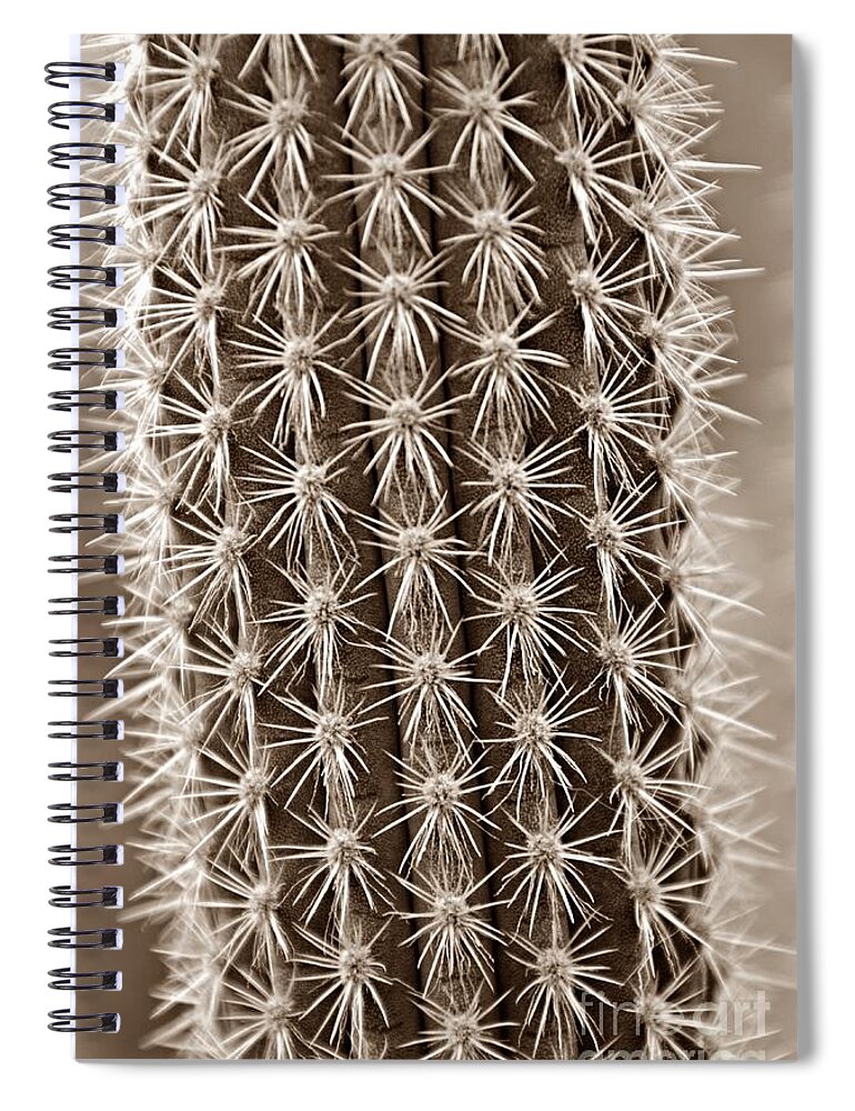 Cactus Spiral Notebook featuring the photograph Cactus 19 Sepia by Cassie Marie Photography