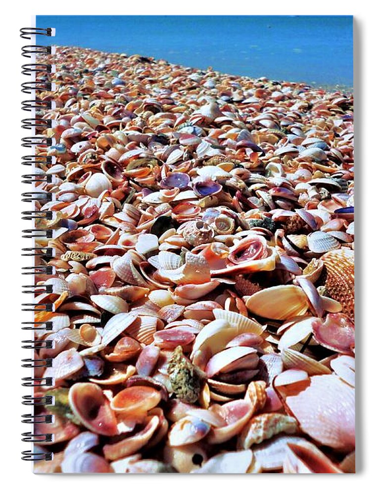 Caladesi Spiral Notebook featuring the photograph Caladesi Shells I by Benjamin Yeager