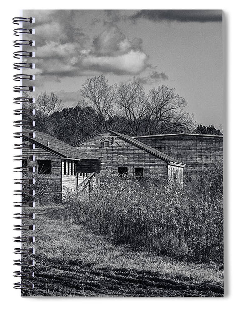 5d Mark Ii Spiral Notebook featuring the photograph Camouflaged by CJ Schmit