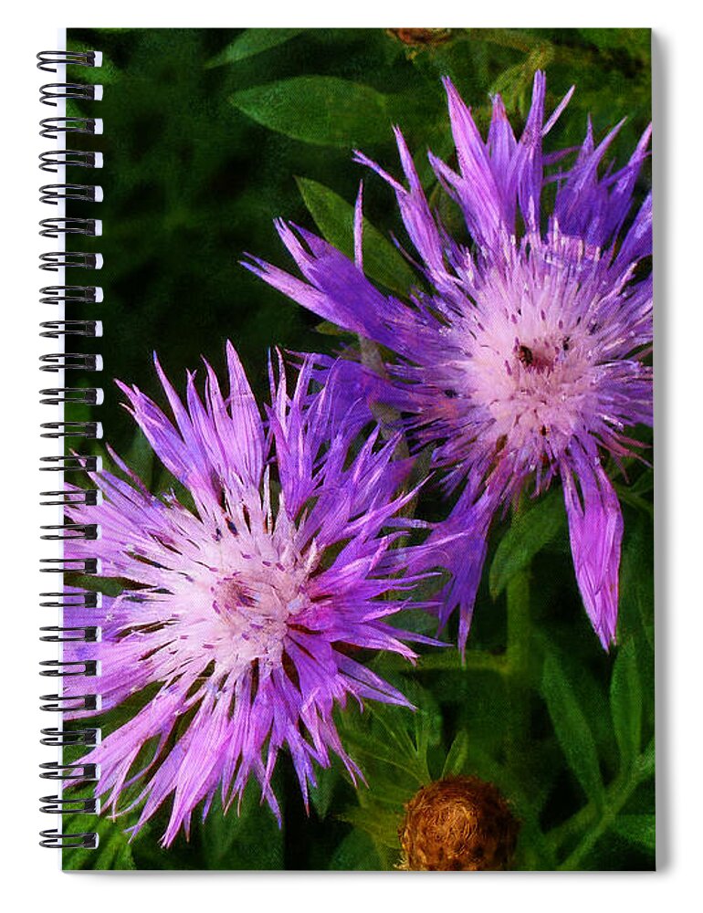 Flower Spiral Notebook featuring the photograph Can flowers say Boo by Steve Taylor
