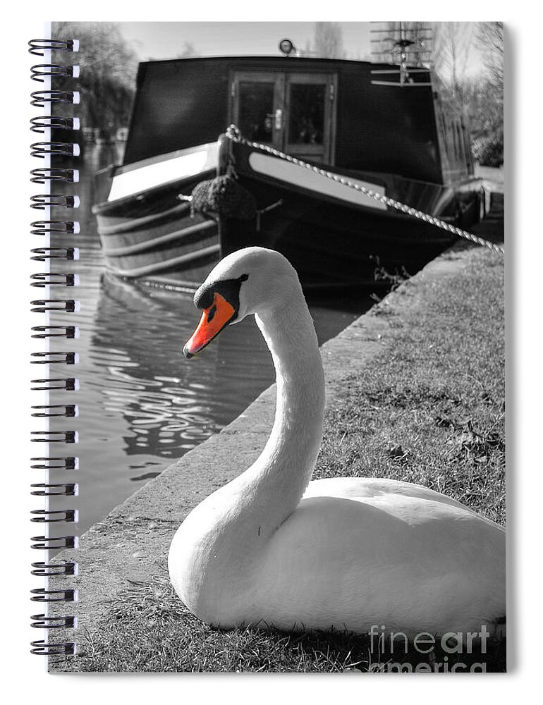  Yhun Suarez Spiral Notebook featuring the photograph Canal Swan by Yhun Suarez