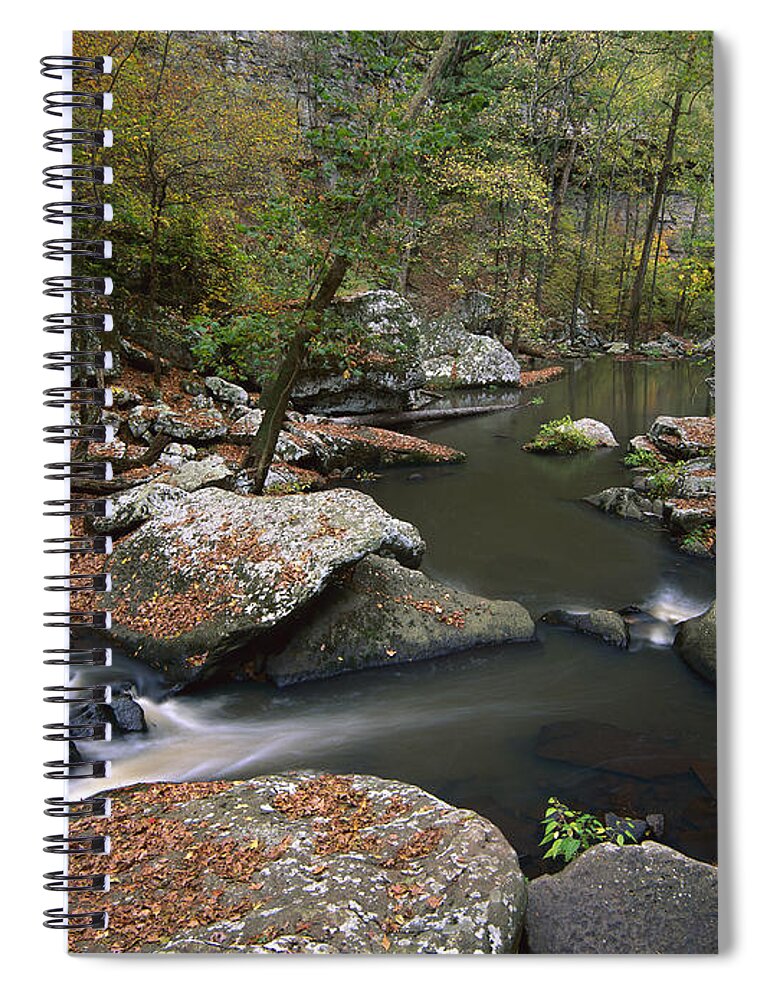 00174932 Spiral Notebook featuring the photograph Cedar Creek Flowing Through Deciduous by Tim Fitzharris