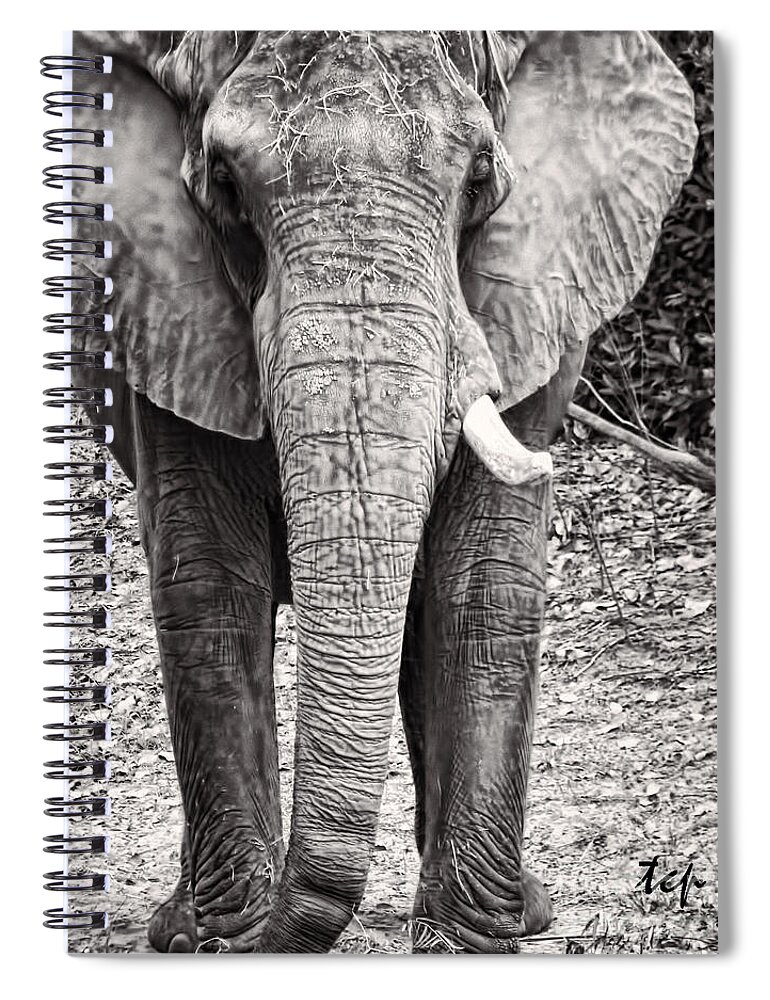 Elephant Spiral Notebook featuring the photograph Charge by Traci Cottingham
