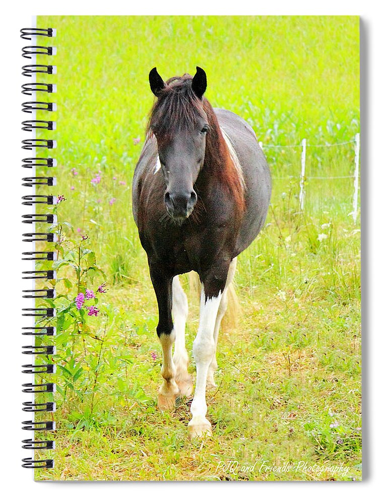  Spiral Notebook featuring the photograph 'Cheers to Shiraz' by PJQandFriends Photography