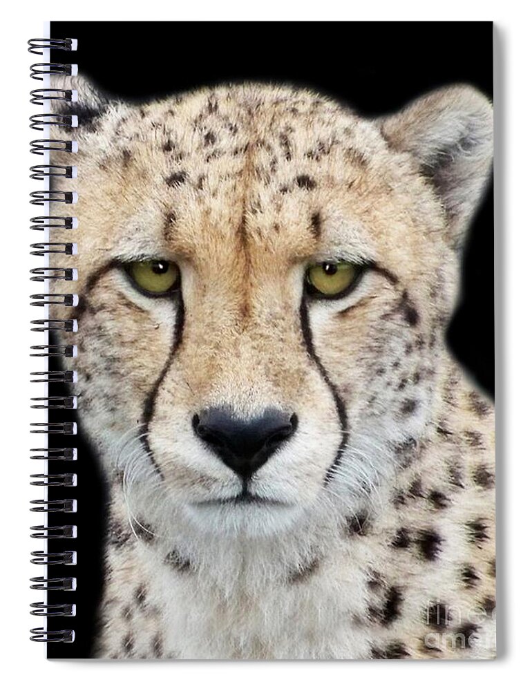 Cheetah Spiral Notebook featuring the photograph Cheetah by Lynn Bolt