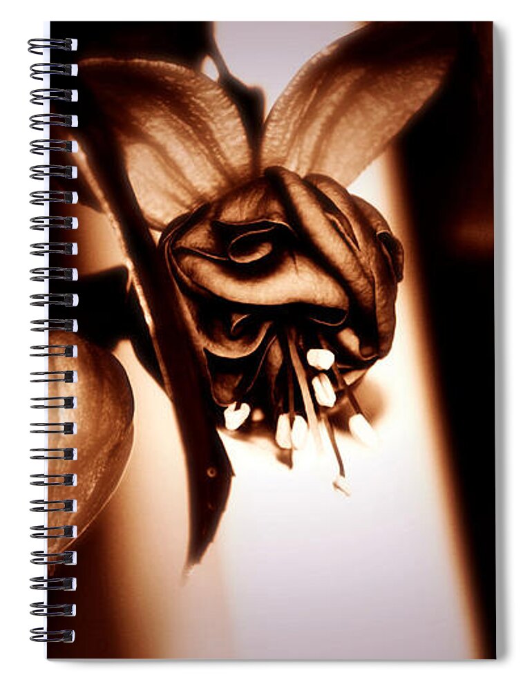 Chocolate Spiral Notebook featuring the photograph Chocolate Silk Fuchsia II by Jeanette C Landstrom