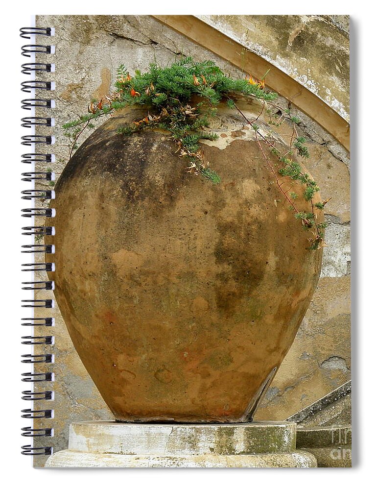 clay Pot Spiral Notebook featuring the photograph Clay Pot by Lainie Wrightson
