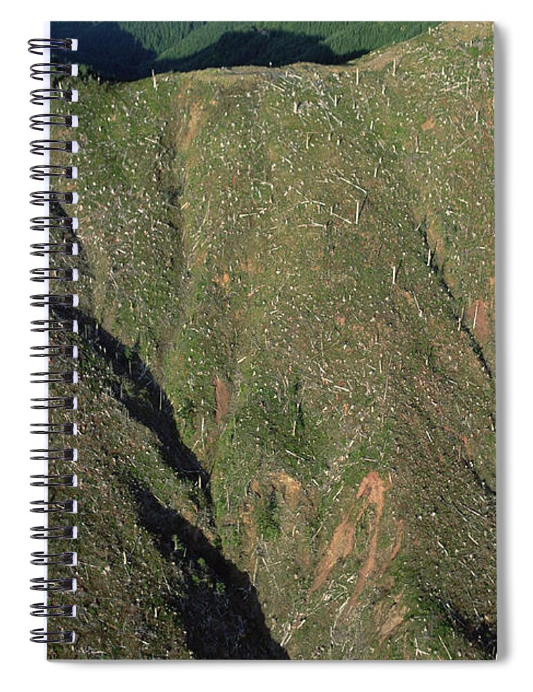 Mp Spiral Notebook featuring the photograph Clear Cutting, Olympic National Park by Mark Moffett