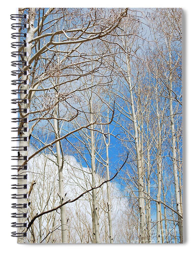 Fine Art Spiral Notebook featuring the photograph Cloudy Aspen Sky by Donna Greene