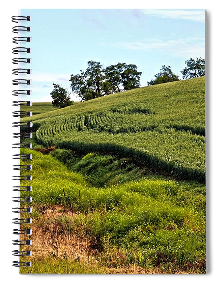 Trees Spiral Notebook featuring the photograph Color Me Green by Athena Mckinzie