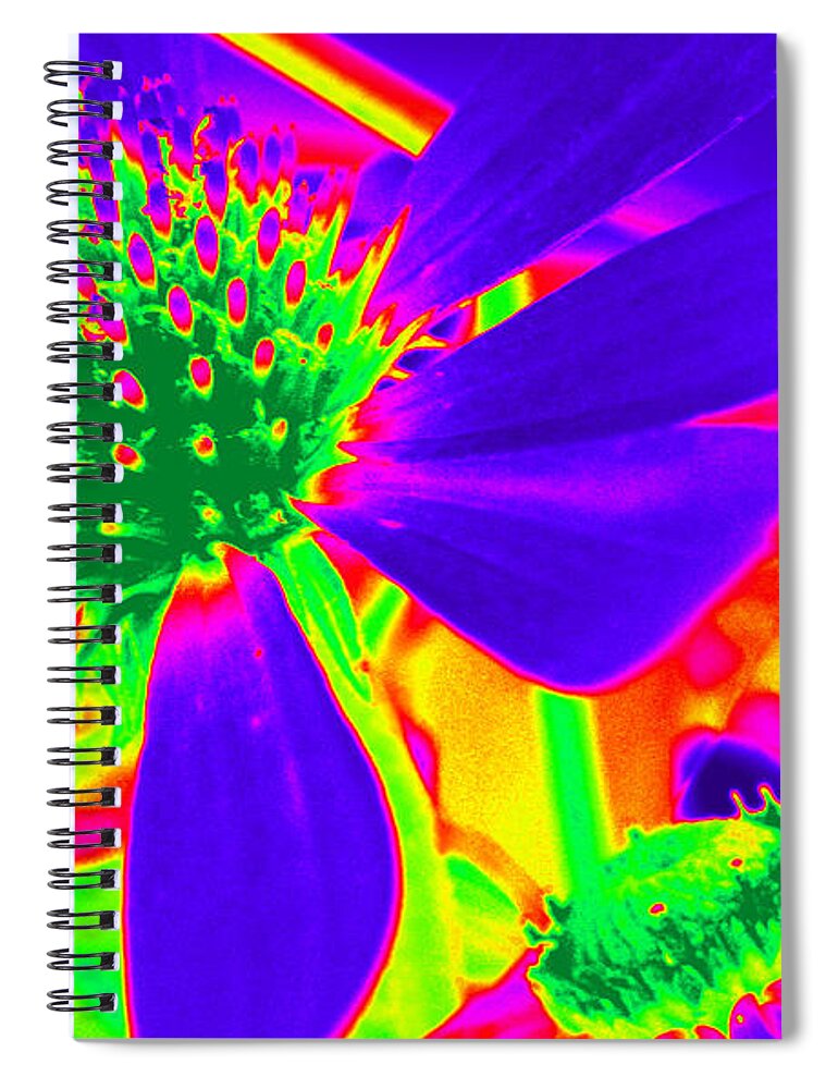 Purple Cone Flowers Spiral Notebook featuring the photograph Cone Flowers Gone Wild by Kim Galluzzo