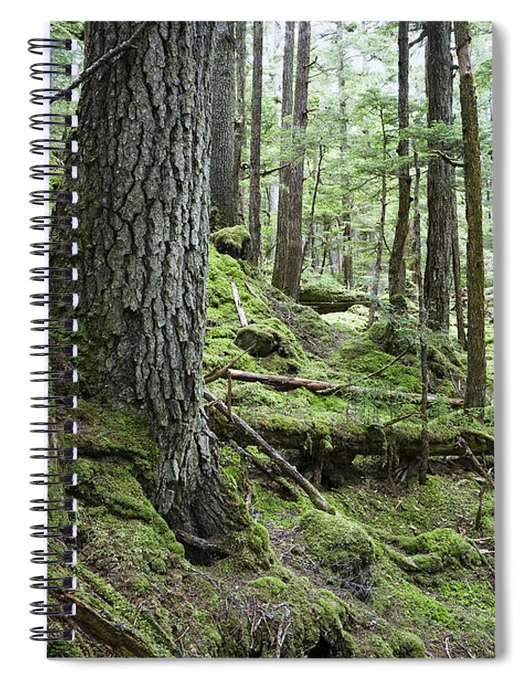 Mp Spiral Notebook featuring the photograph Coniferous Forest, Inside Passage by Konrad Wothe