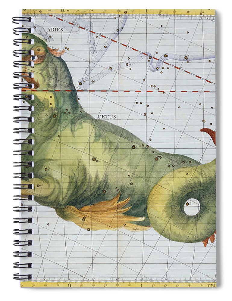 Constellation Of Cetus The Whale Spiral Notebook featuring the drawing Constellation of Cetus the Whale by James Thornhill 