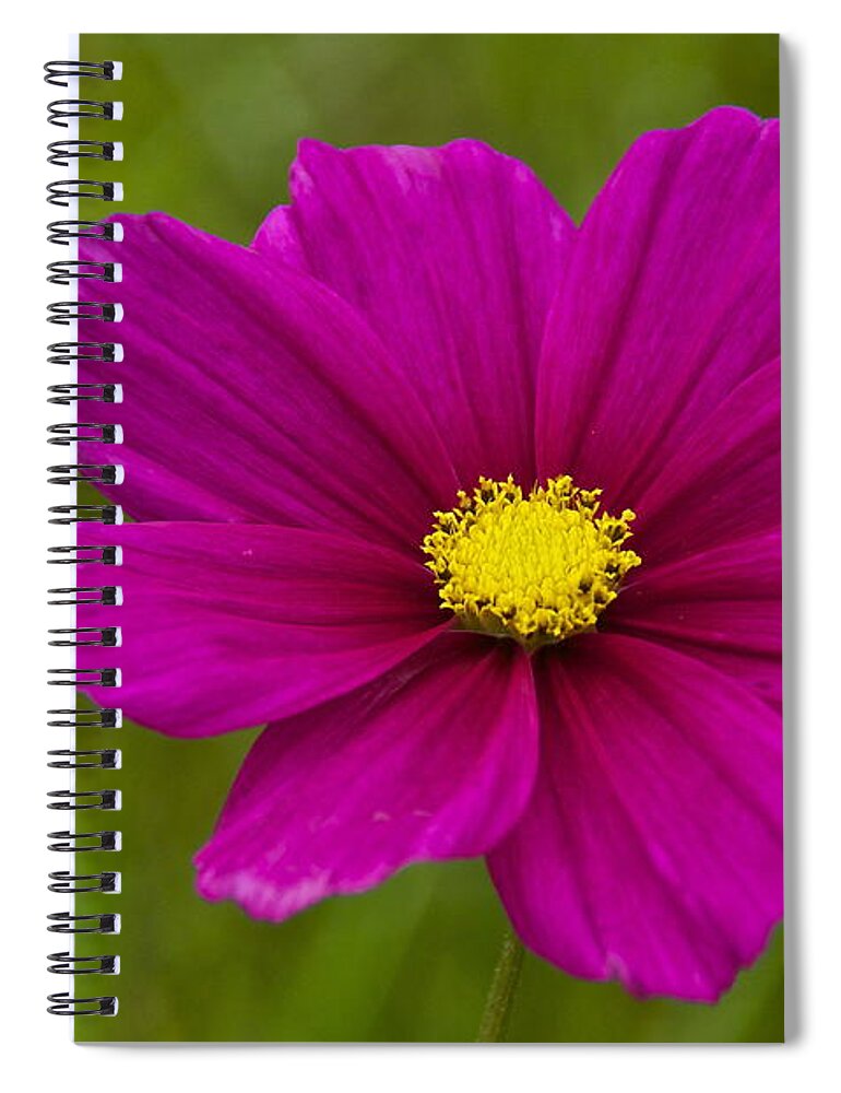 Photography Spiral Notebook featuring the photograph Cosmos by Sean Griffin