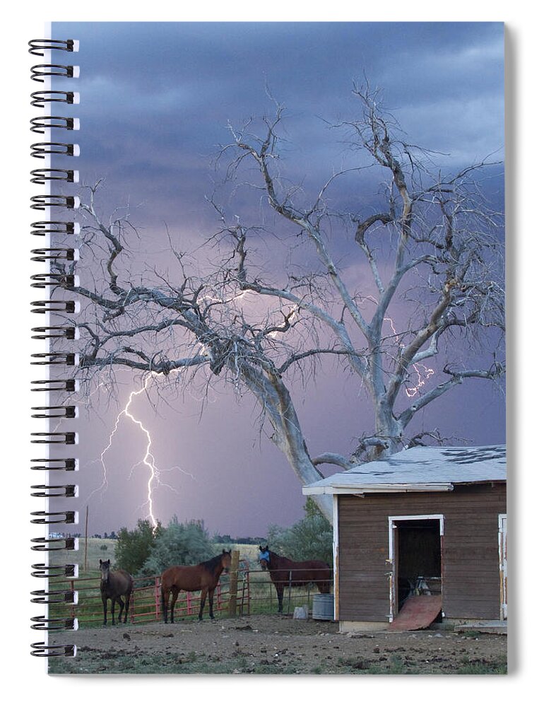 Country Spiral Notebook featuring the photograph Country Horses Lightning Storm NE Boulder County CO 66V by James BO Insogna