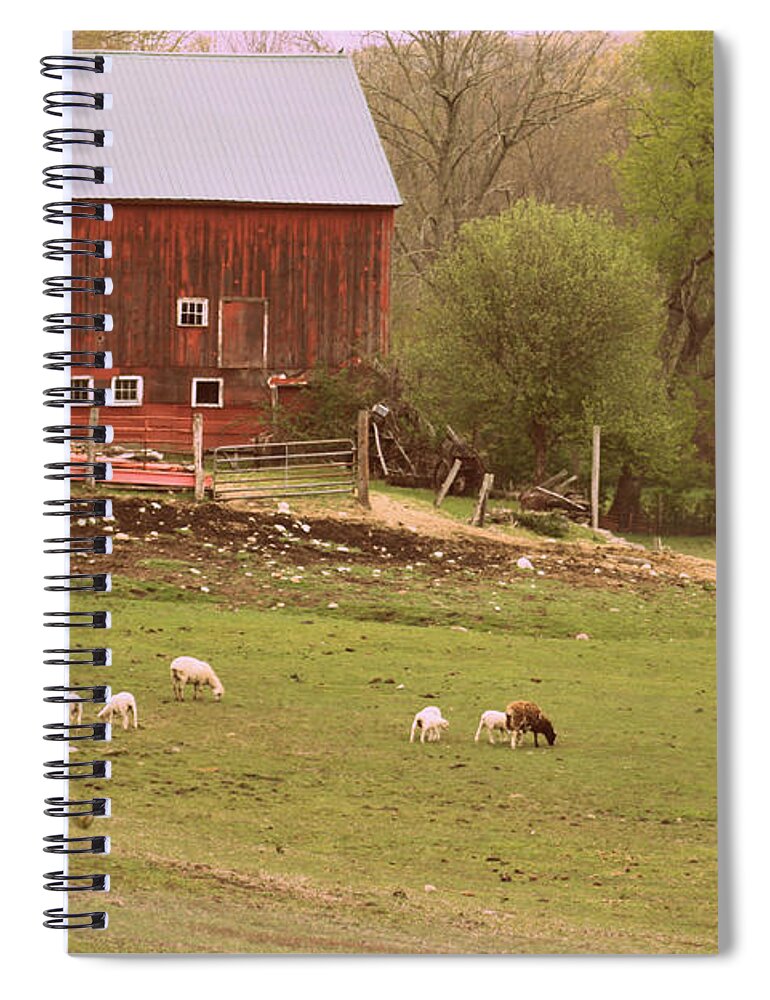 Sheep Farm Spiral Notebook featuring the photograph Country Scapes in CT USA by Kim Galluzzo
