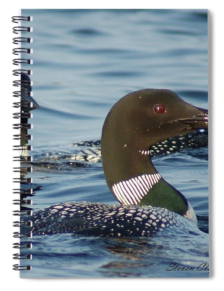 Loons Spiral Notebook featuring the photograph Curious Loons by Steven Clipperton