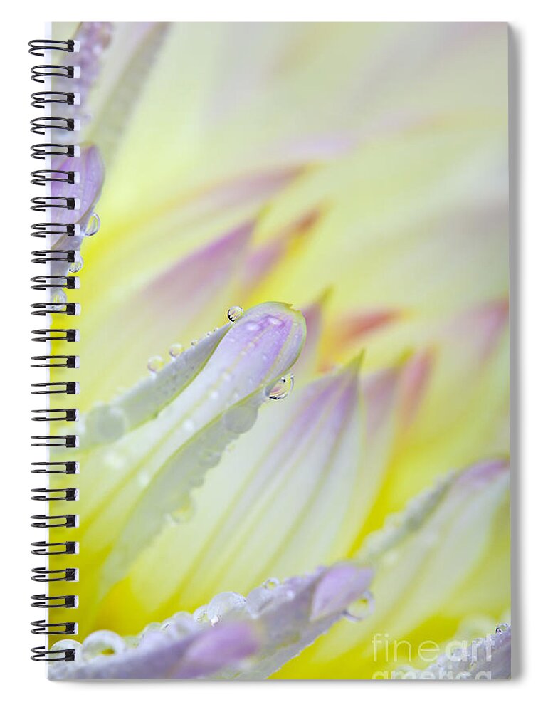Dahlia Spiral Notebook featuring the photograph Dahlia Flower 07 by Nailia Schwarz
