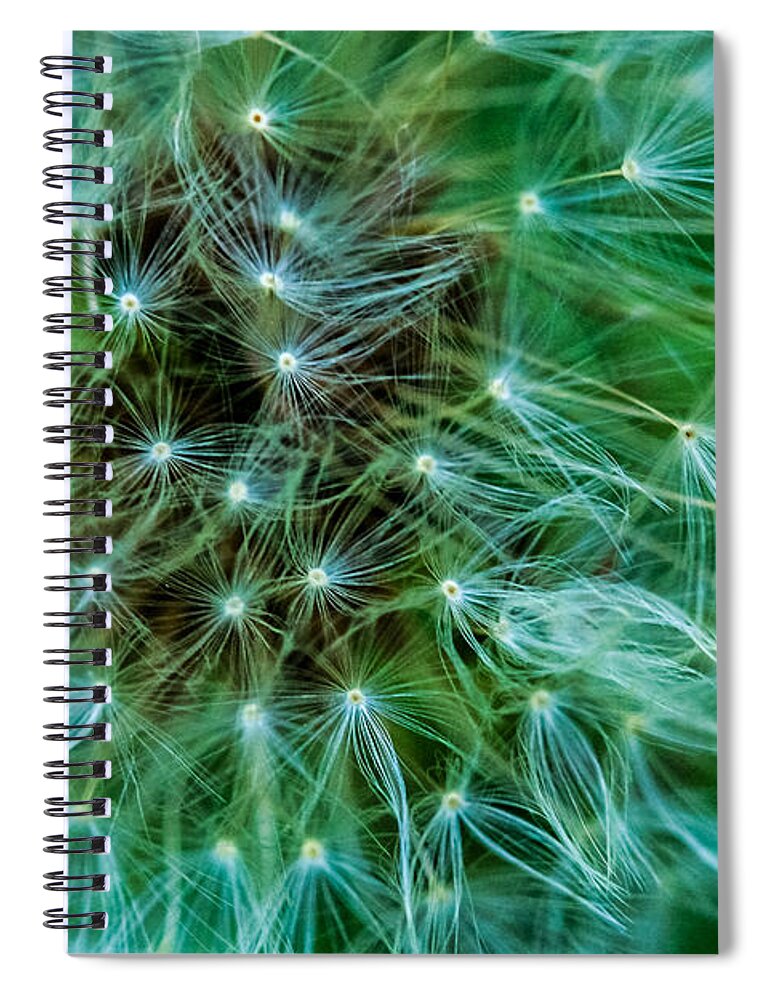 Dandelion Spiral Notebook featuring the photograph Dandelion Puff-Green by Toma Caul
