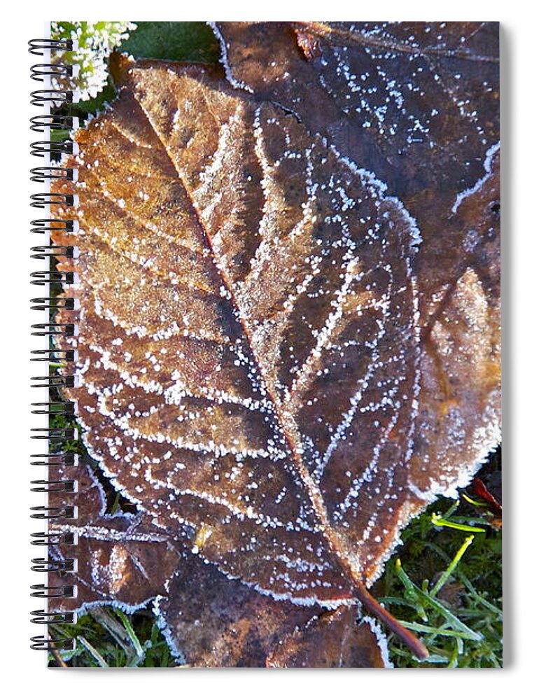 Photography Spiral Notebook featuring the photograph December Frosting by Sean Griffin